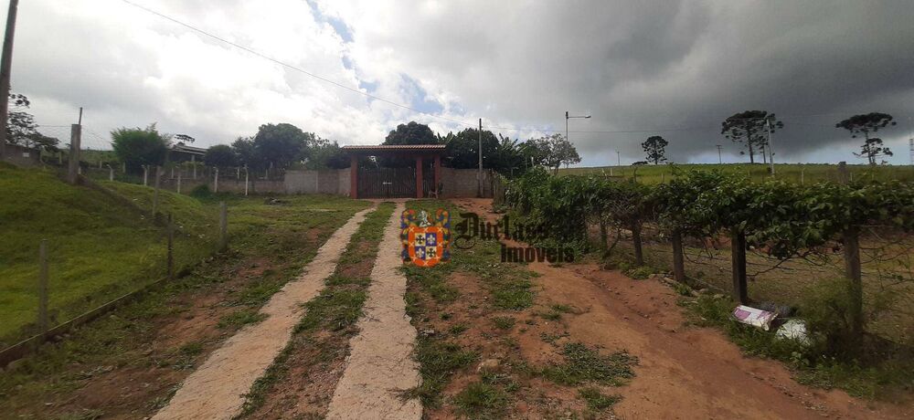 Chácara, 3 quartos, 8000 m² - Foto 3