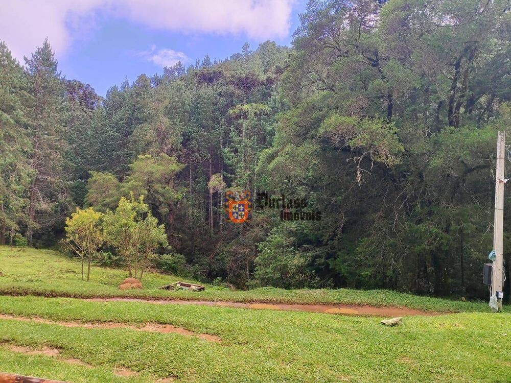 Sítio, 6 hectares - Foto 4