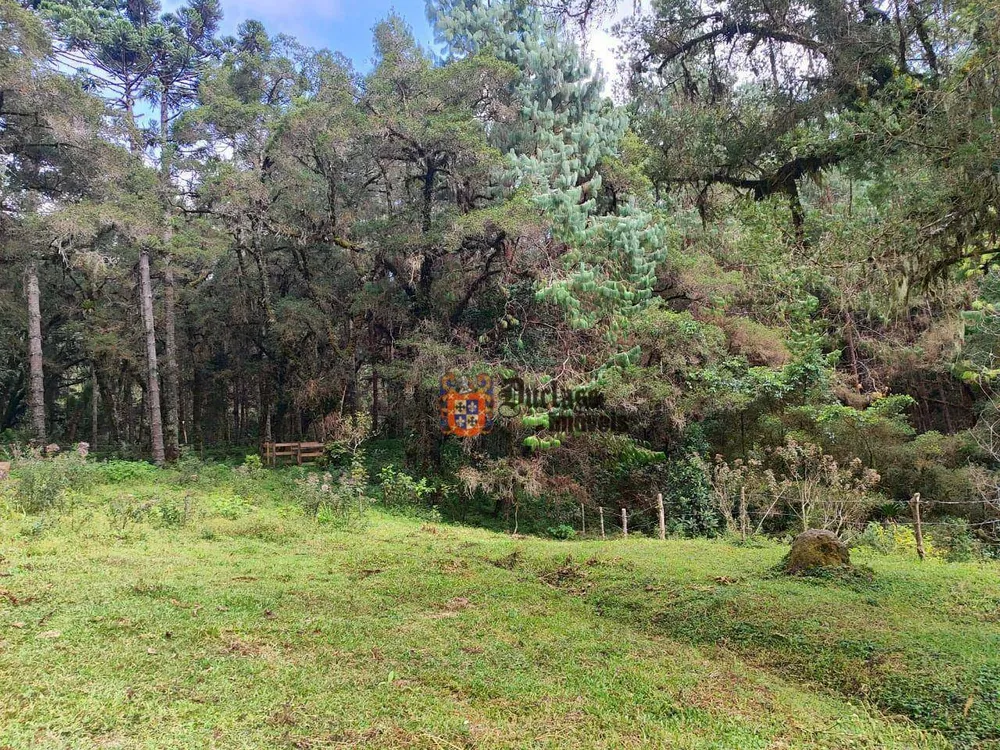 Sítio, 6 hectares - Foto 12