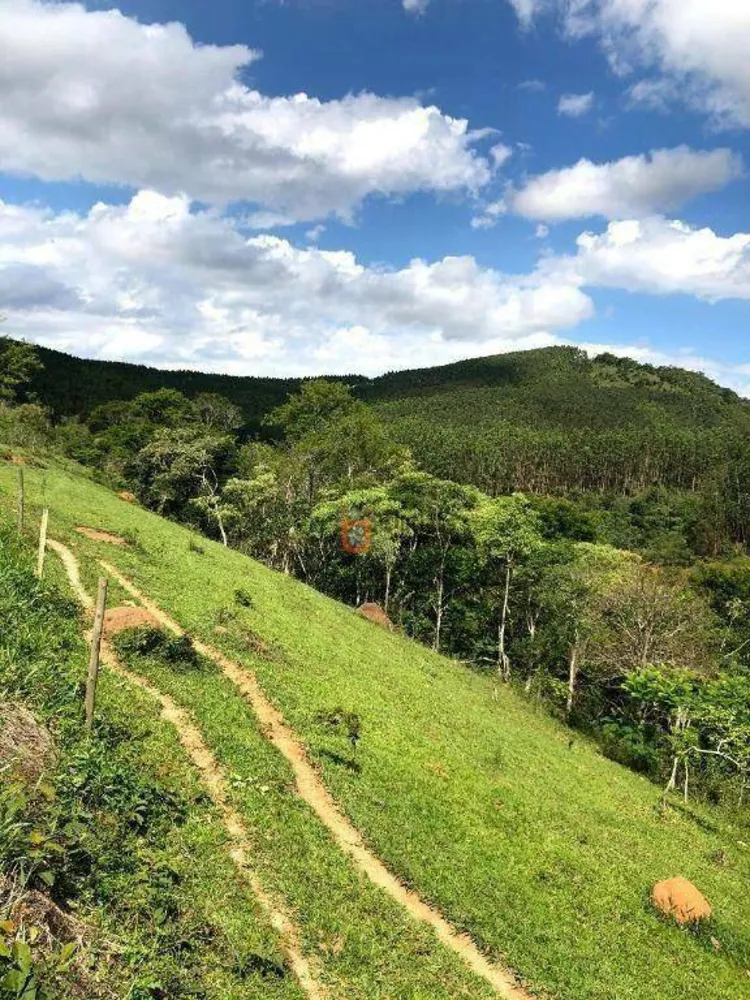 Fazenda, 218 hectares - Foto 1