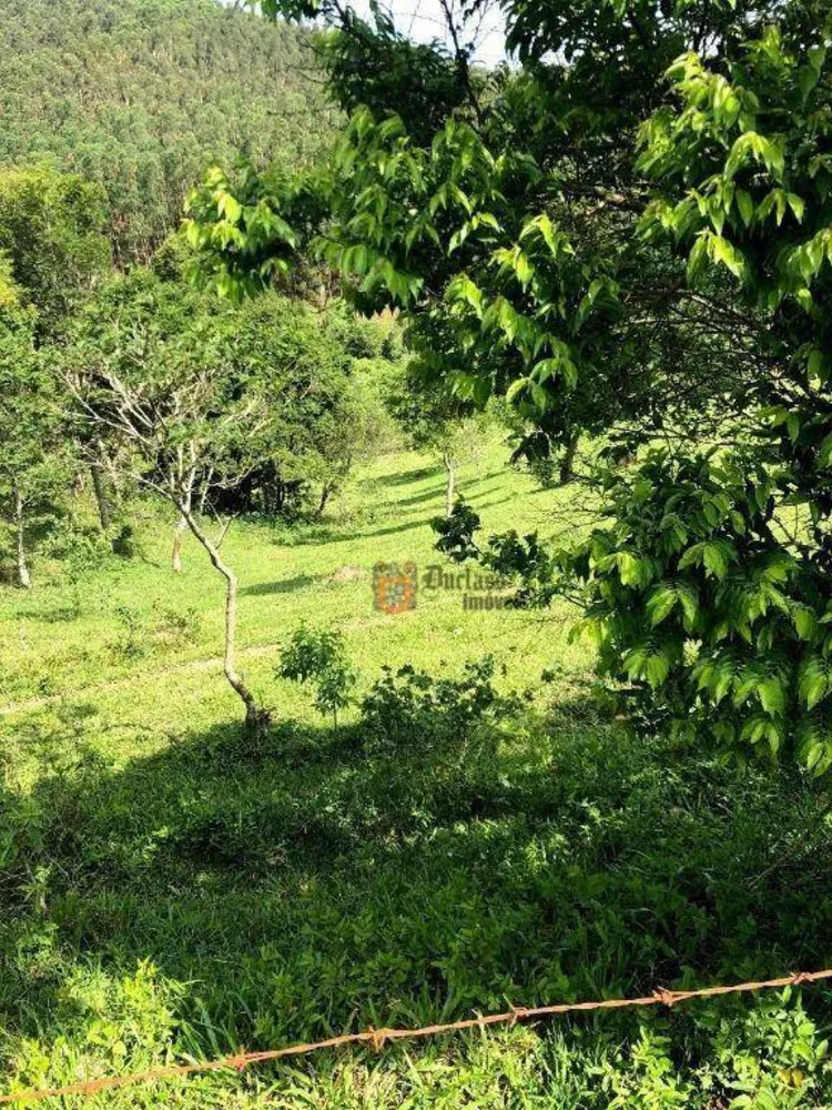 Fazenda, 218 hectares - Foto 2