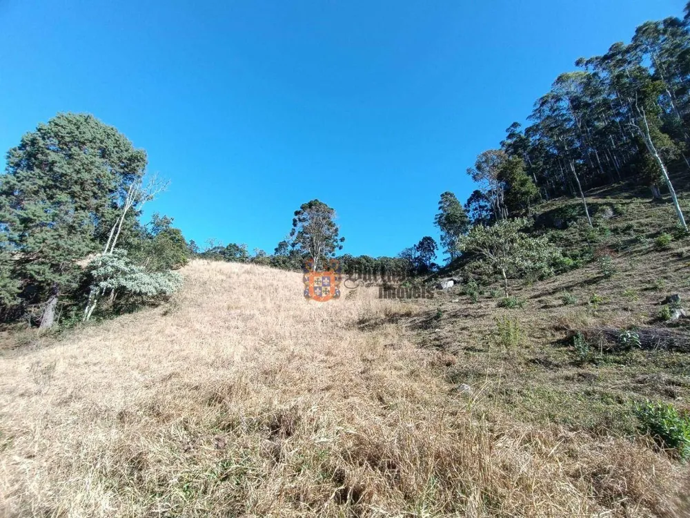 Terreno, 15 hectares - Foto 4
