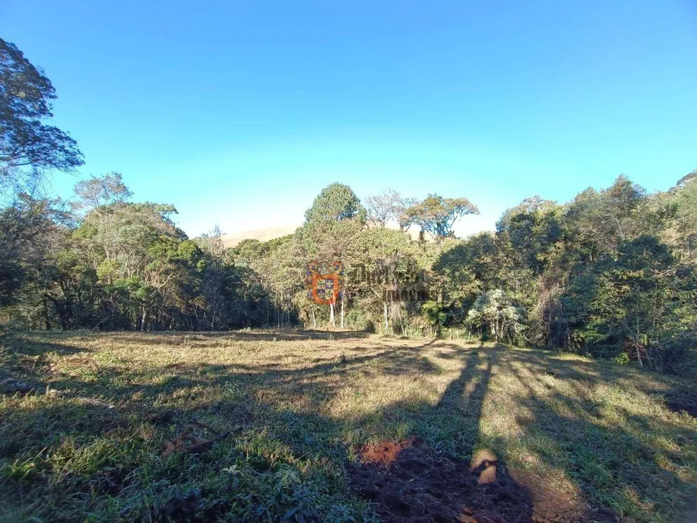 Terreno, 15 hectares - Foto 7