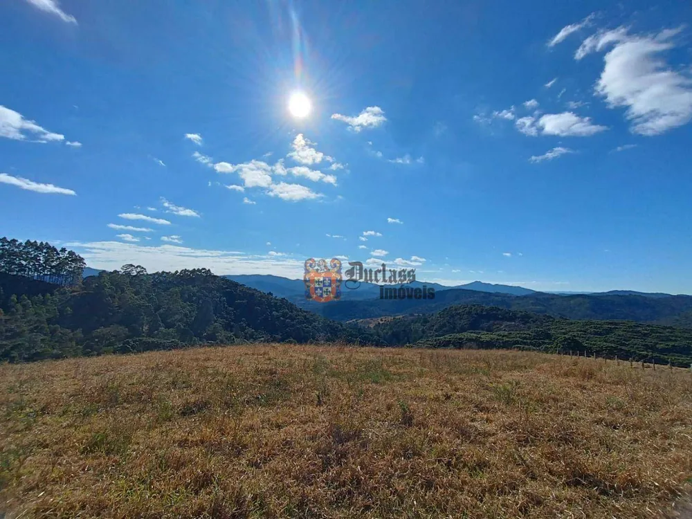 Terreno, 15 hectares - Foto 3