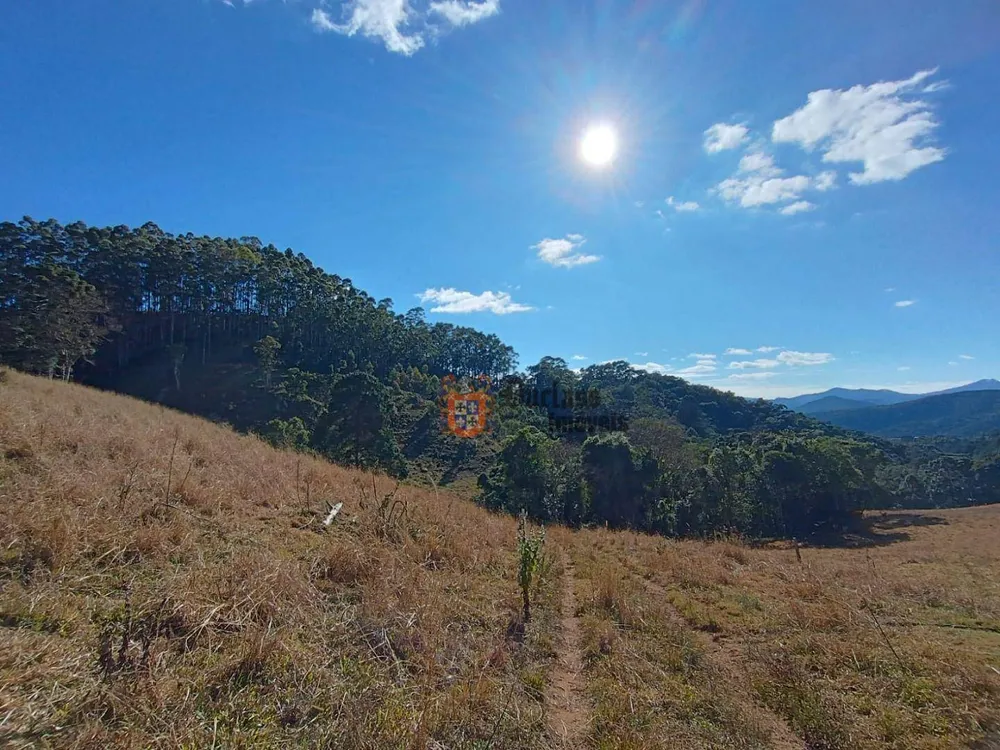 Terreno, 15 hectares - Foto 6