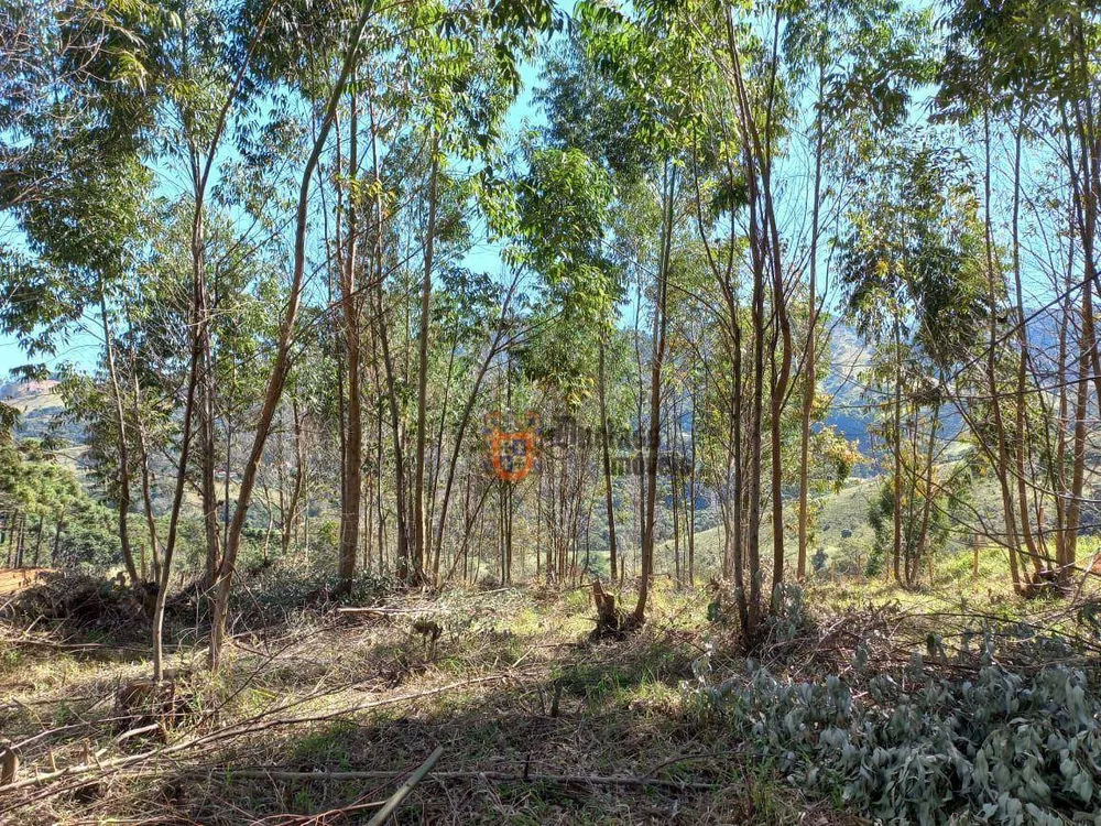 Terreno, 6050 m² - Foto 12