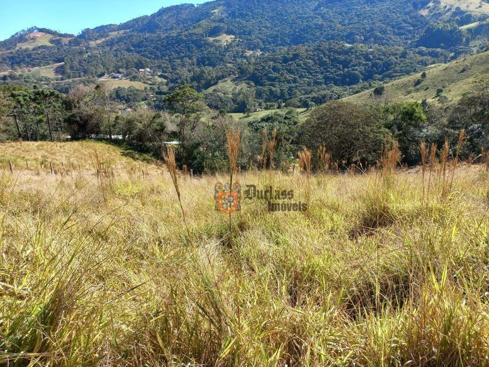 Terreno, 6050 m² - Foto 8
