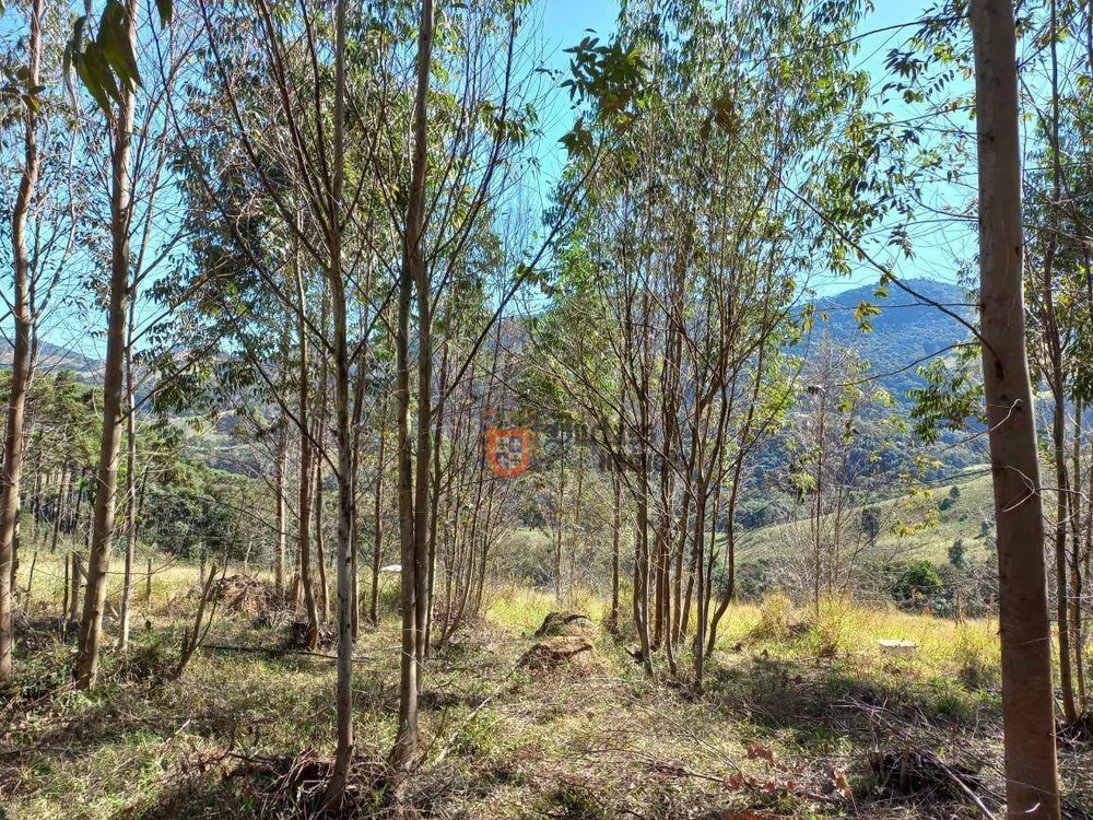 Terreno, 6050 m² - Foto 5