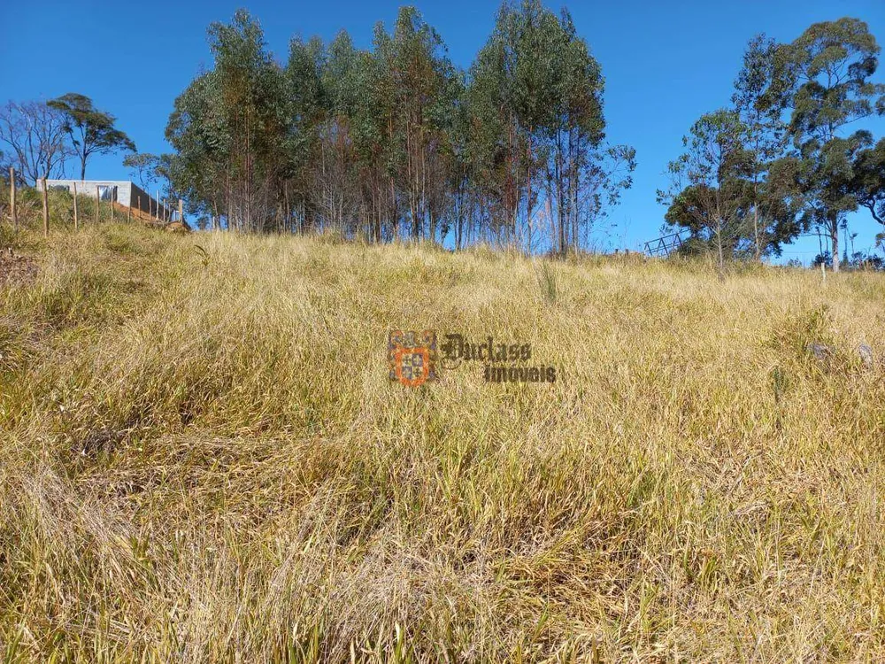 Terreno, 6050 m² - Foto 7