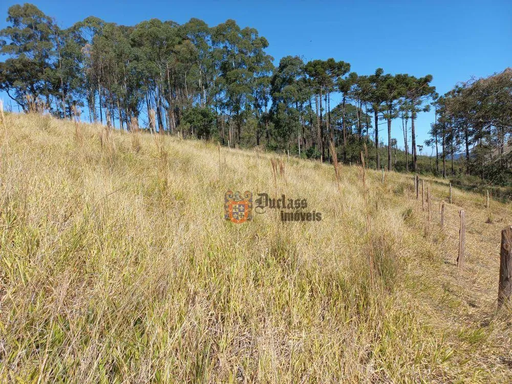 Terreno, 6050 m² - Foto 6