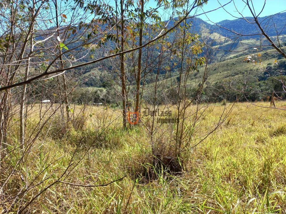 Terreno, 6050 m² - Foto 11