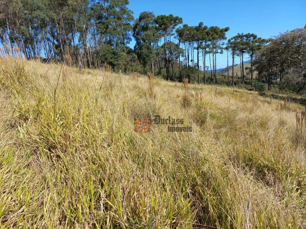 Terreno, 6050 m² - Foto 3