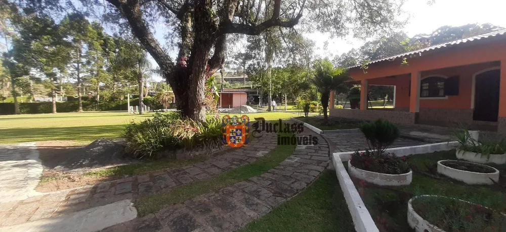Chácara, 6 quartos, 8000 m² - Foto 4