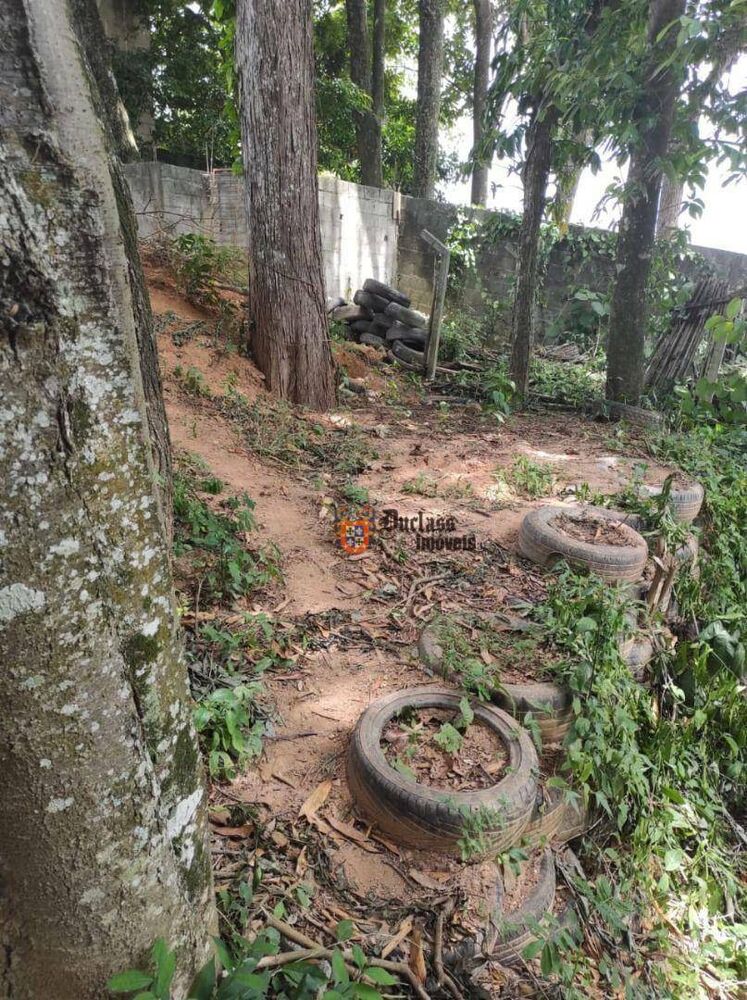 Chácara, 4 quartos, 1065 m² - Foto 4