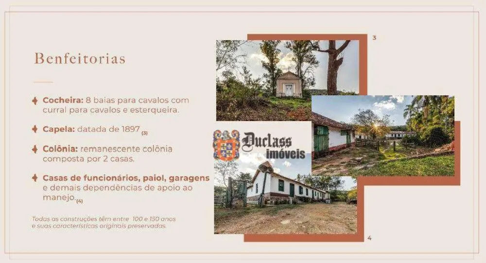 Fazenda, 131 hectares - Foto 7