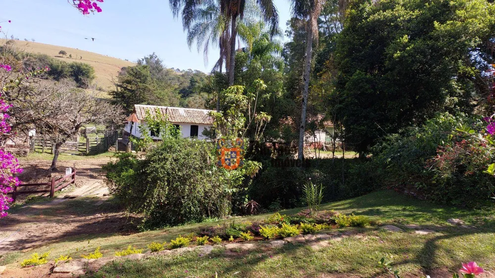 Fazenda, 131 hectares - Foto 8