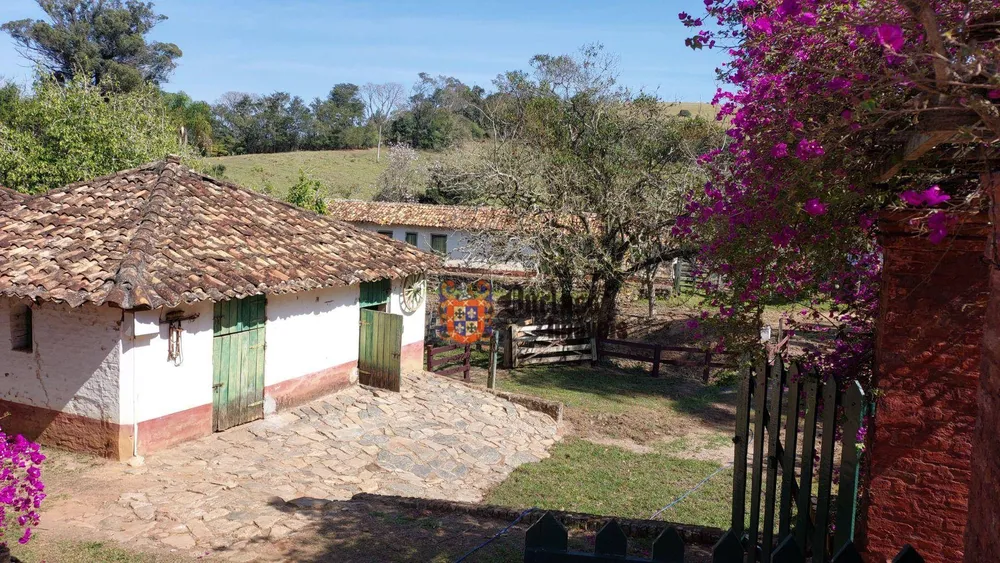 Fazenda, 131 hectares - Foto 10