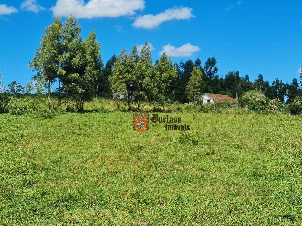 Fazenda, 126 hectares - Foto 37