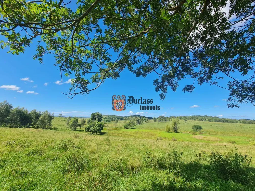 Fazenda, 126 hectares - Foto 35