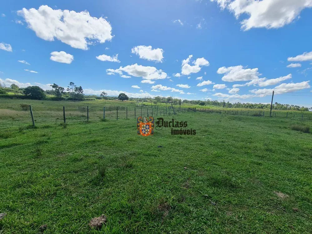 Fazenda, 126 hectares - Foto 47