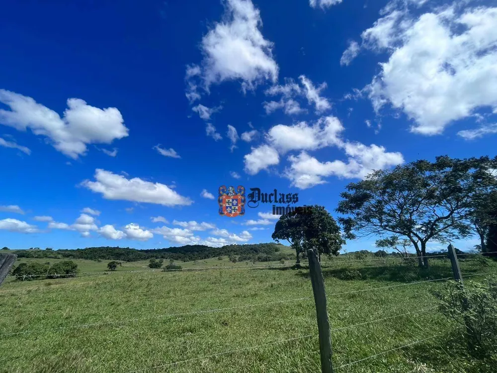 Fazenda, 126 hectares - Foto 17
