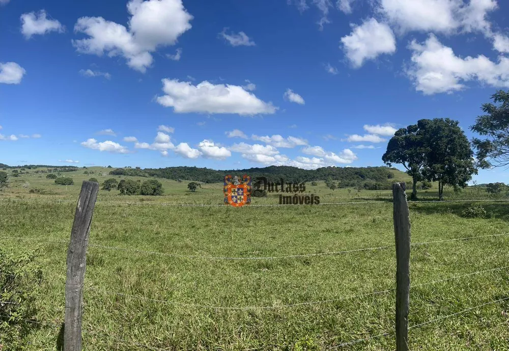 Fazenda, 126 hectares - Foto 15