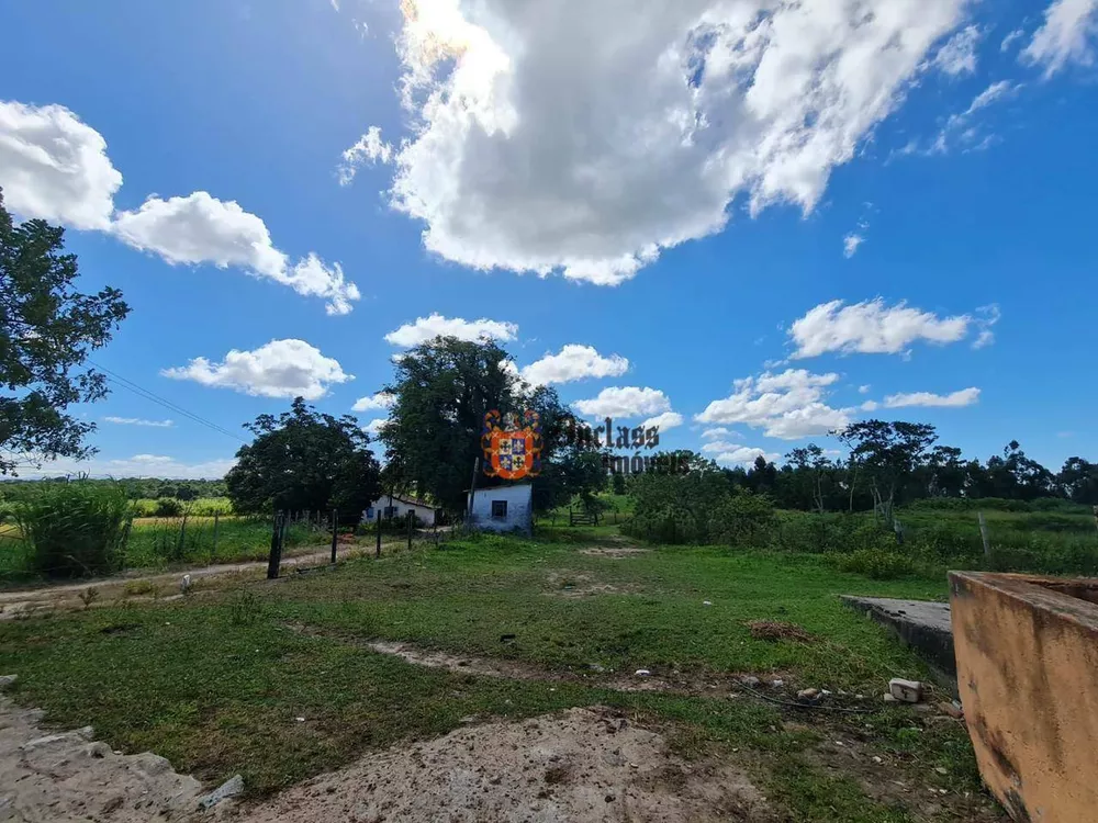 Fazenda, 126 hectares - Foto 49