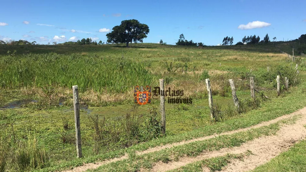 Fazenda, 126 hectares - Foto 3