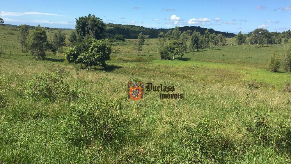 Fazenda, 126 hectares - Foto 8