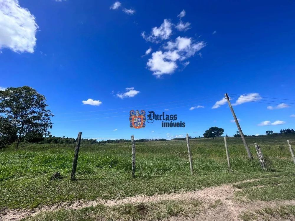 Fazenda, 126 hectares - Foto 26