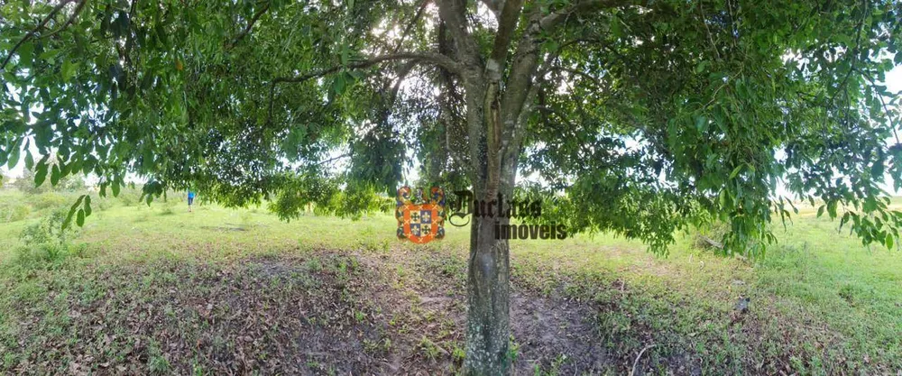 Fazenda, 126 hectares - Foto 51