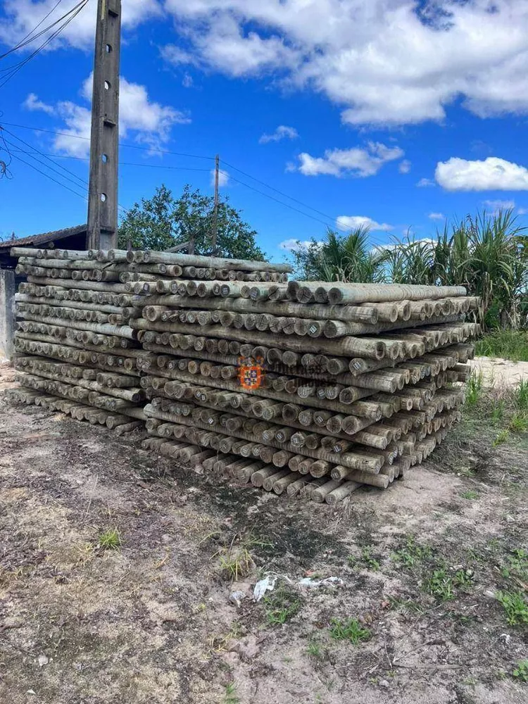 Fazenda, 126 hectares - Foto 32