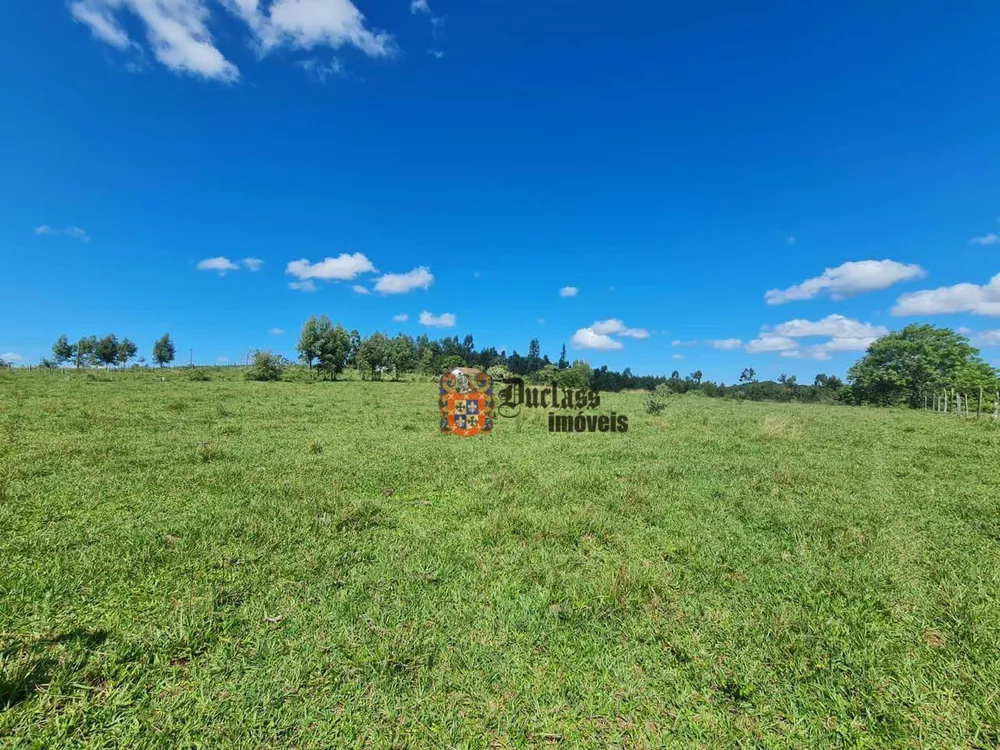 Fazenda, 126 hectares - Foto 39