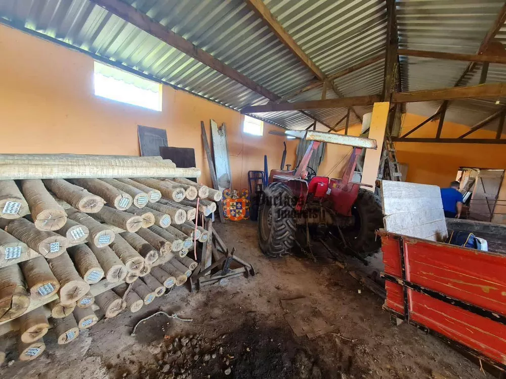 Fazenda, 126 hectares - Foto 44