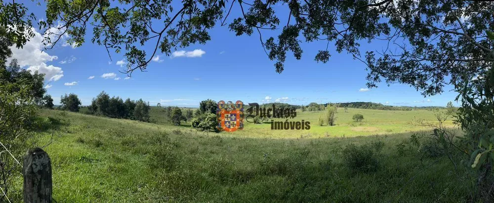 Fazenda, 126 hectares - Foto 34