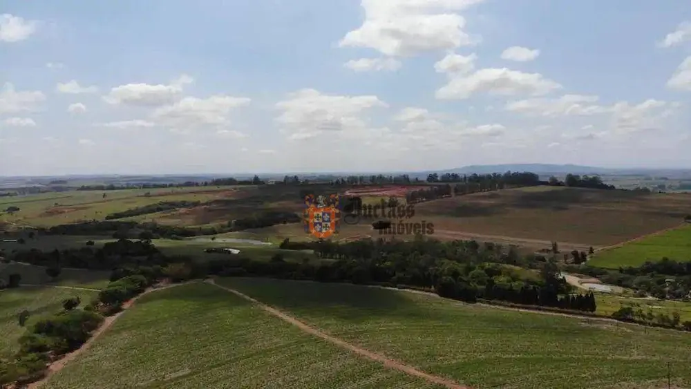 Fazenda, 231 hectares - Foto 8