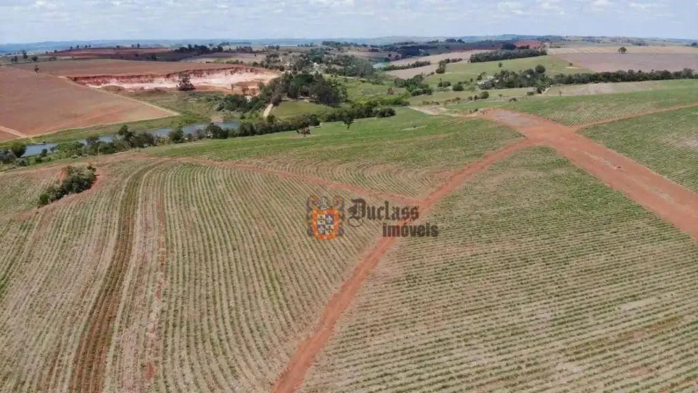 Fazenda, 231 hectares - Foto 3