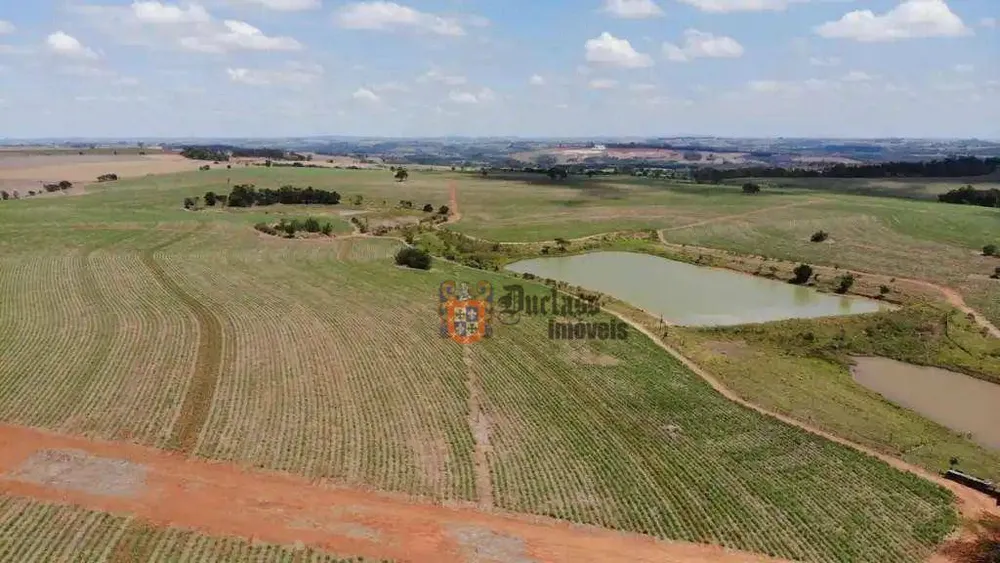 Fazenda, 231 hectares - Foto 9