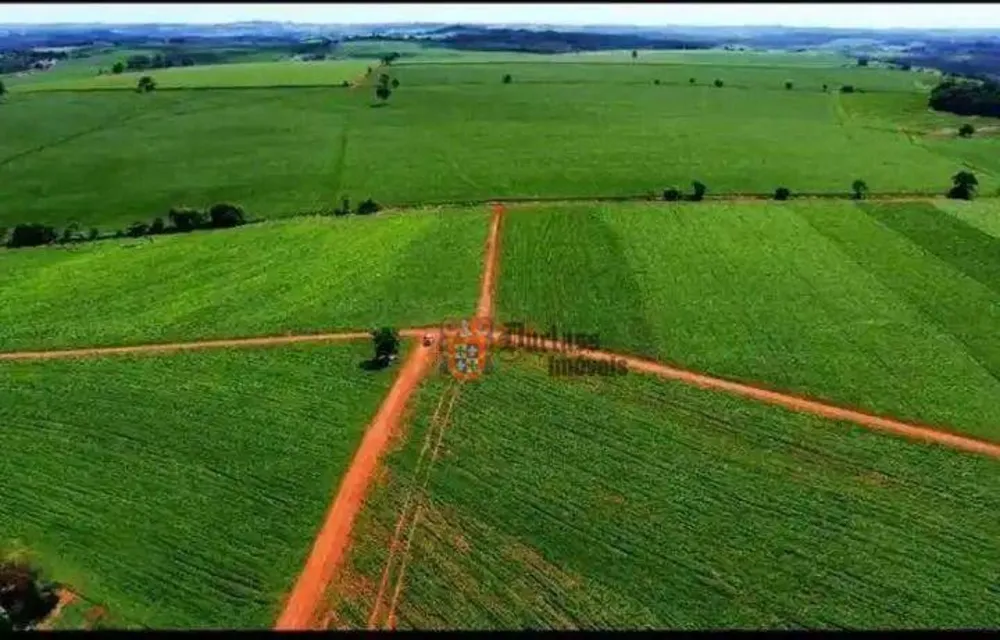 Fazenda, 231 hectares - Foto 7