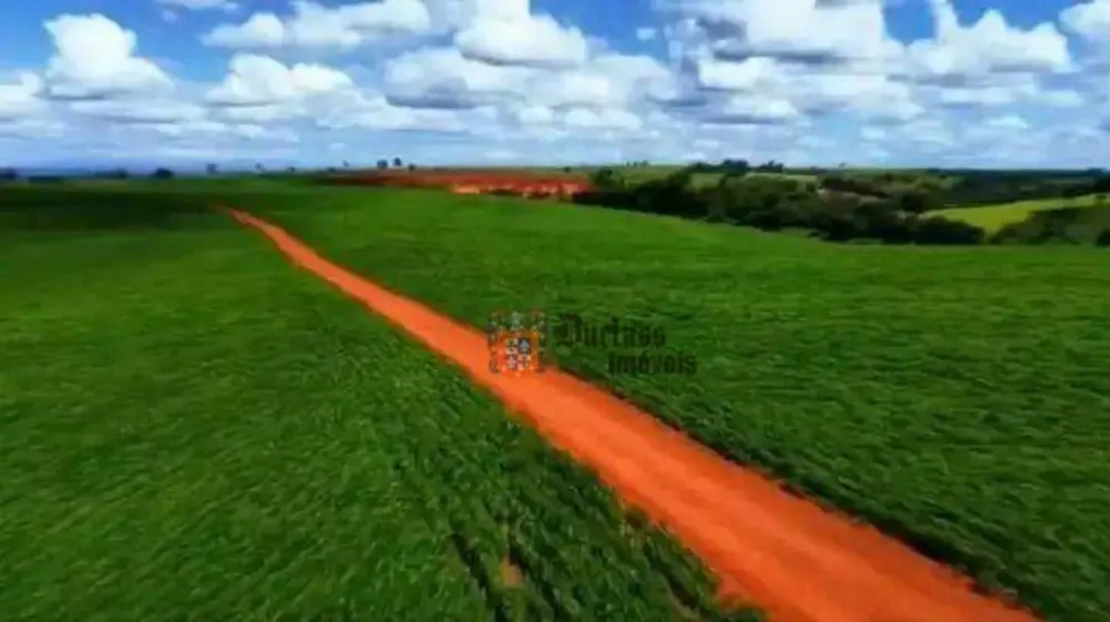 Fazenda, 231 hectares - Foto 11