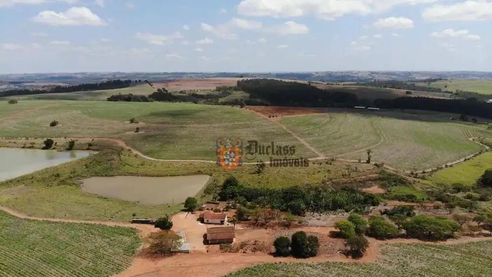 Fazenda, 231 hectares - Foto 4