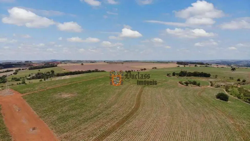 Fazenda, 231 hectares - Foto 10