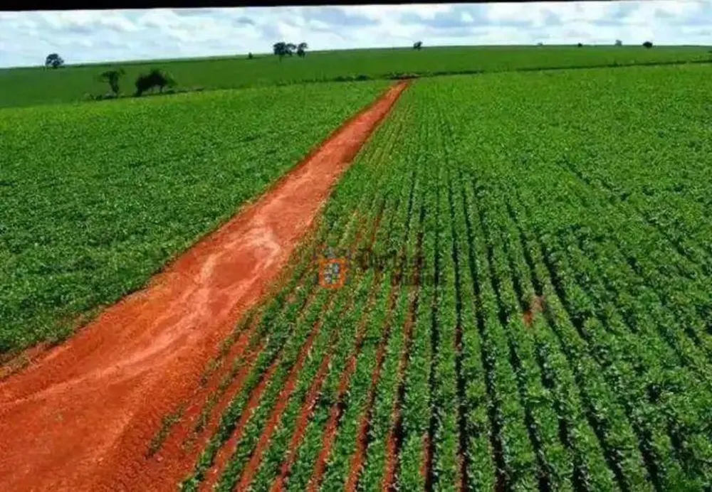 Fazenda, 231 hectares - Foto 6
