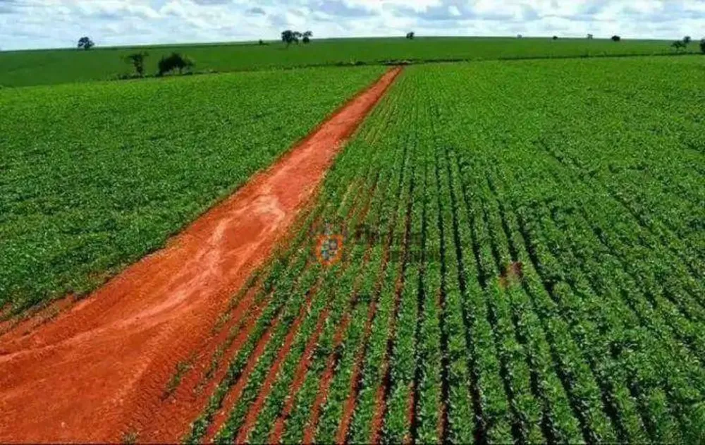 Fazenda, 231 hectares - Foto 2