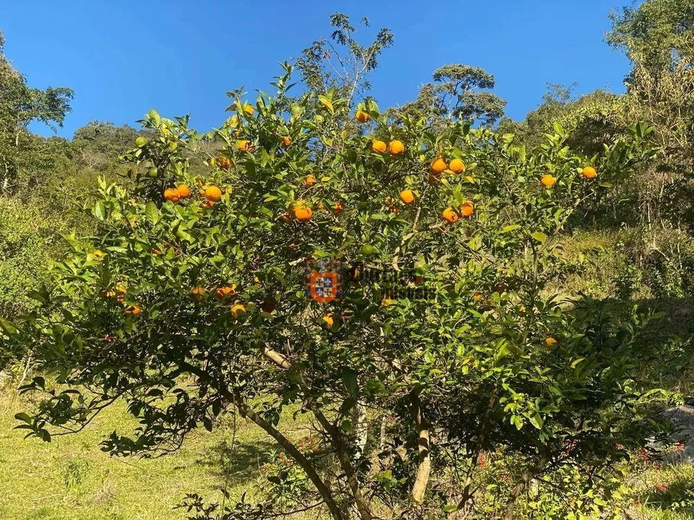 Terreno, 6 hectares - Foto 7