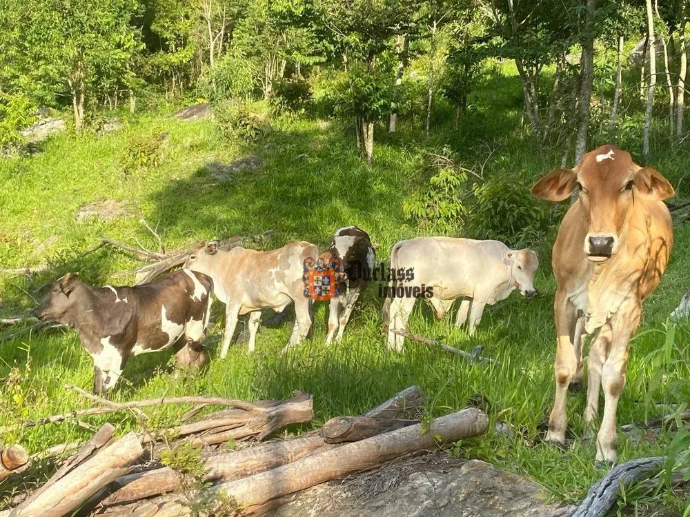 Terreno, 6 hectares - Foto 11