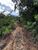 Terreno, 6 hectares - Foto 3