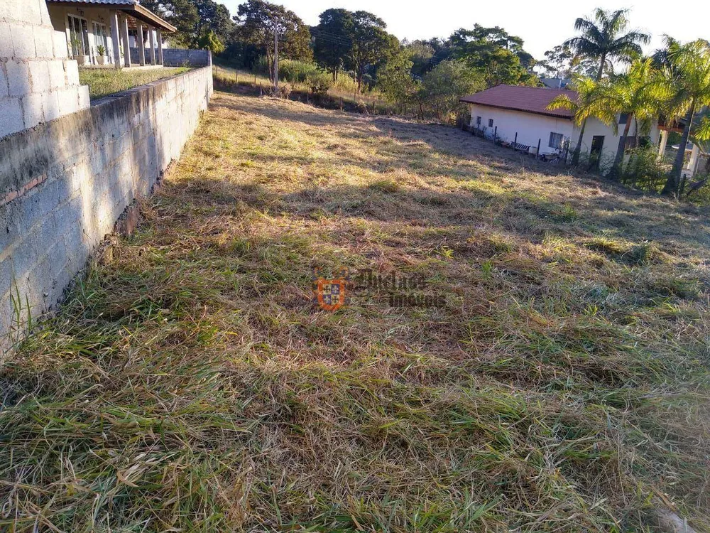 Loteamento e Condomínio, 1000 m² - Foto 3