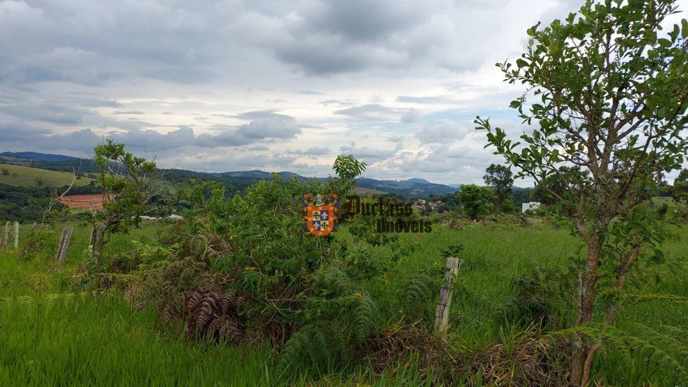 Terreno, 6 hectares - Foto 1