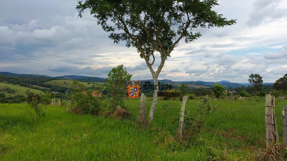 Terreno, 6 hectares - Foto 4